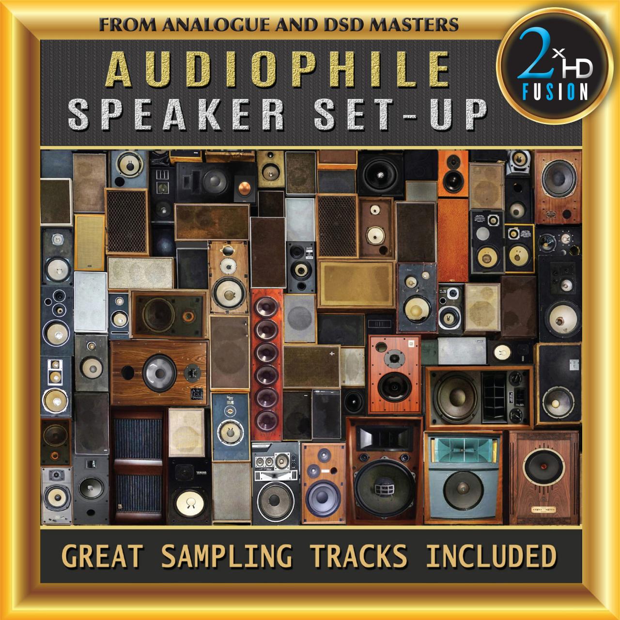 Audiophile travel aetup